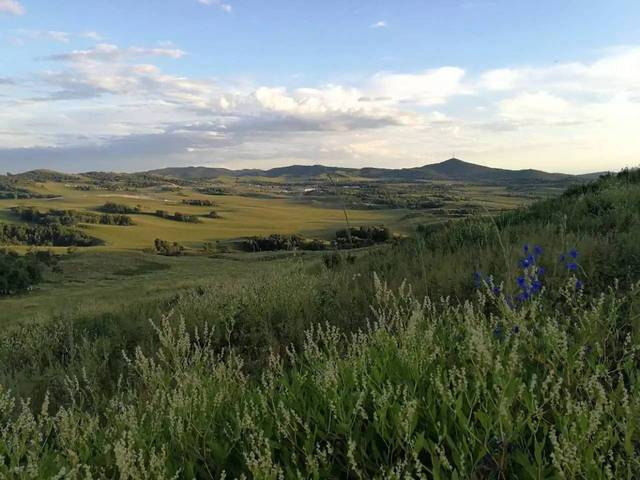 动漫导航里番在线 动漫导航为了帮助您