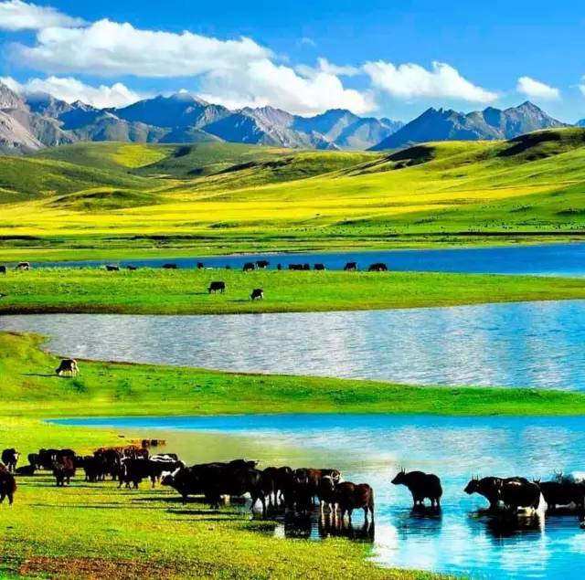 poutpon影视 请尽量使用准确名称搜索海报