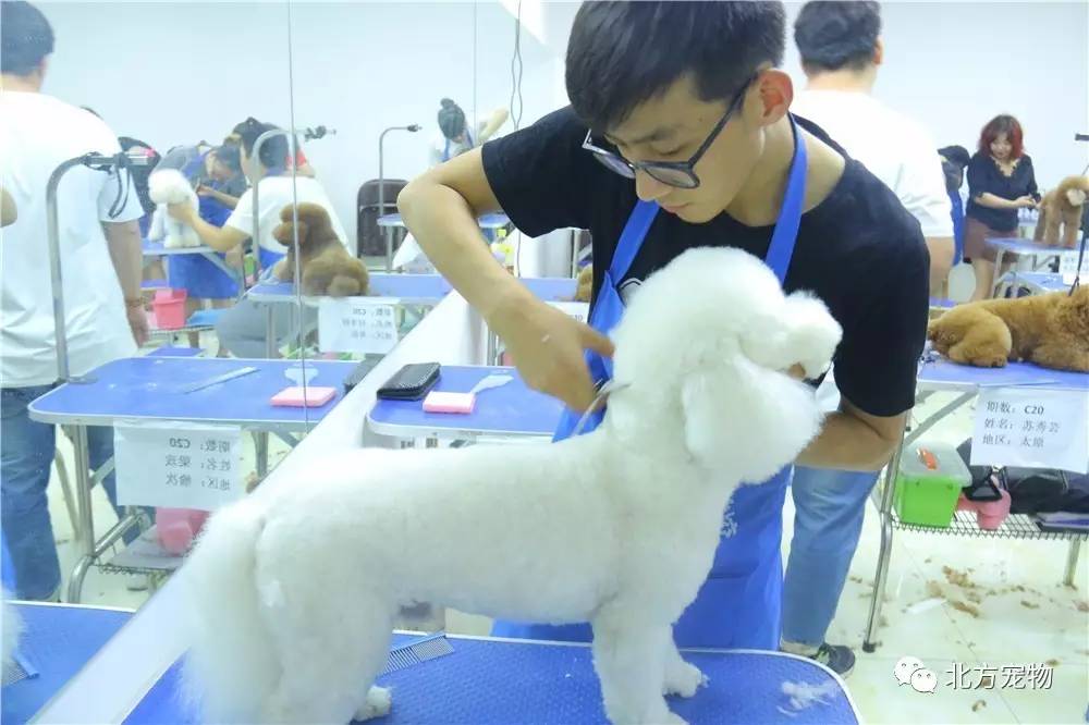 幼儿h视频在线观看 我们很乐意为您提供帮助