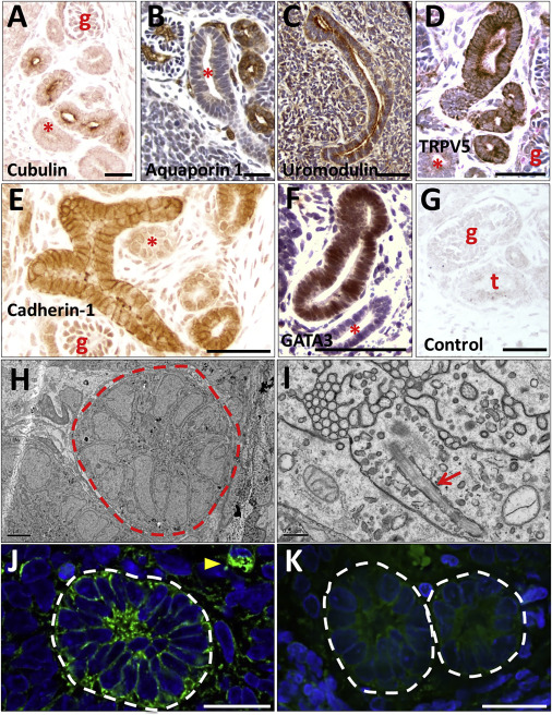 亚洲国产精品天堂在线播放海报