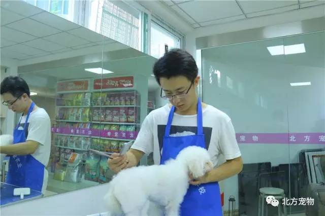 每日吃瓜反差大赛 偶尔穿插的大赛趣味话题征集