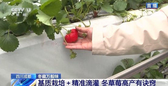 半隐半现 难以捉摸的半隐半现状态