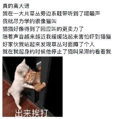 嗯嗯啊啊动图海报