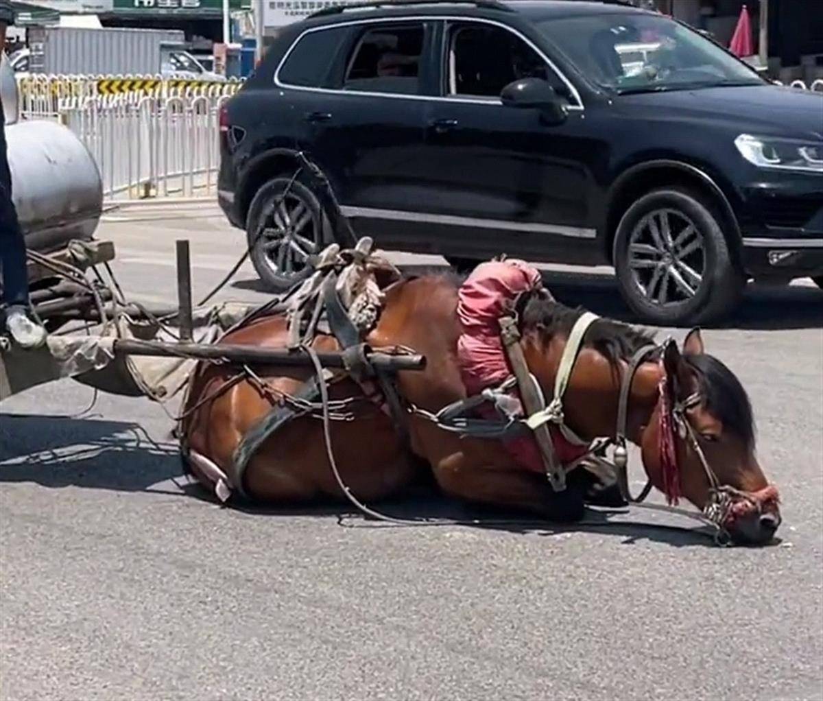 草草影院浮力发布页海报