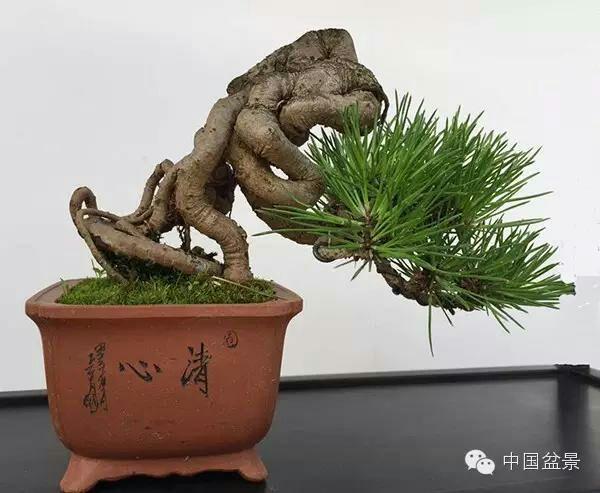 无限臀山发布页海报