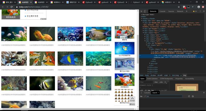 久久精品国产精品国产精品污 久久精品精品精品同时