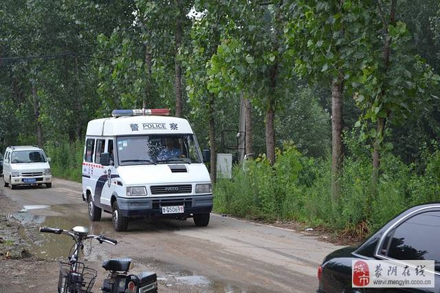 啄木鸟女仆服务海报