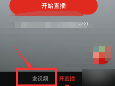 法国啄木鸟 复仇 我还没有学会回答这个问题