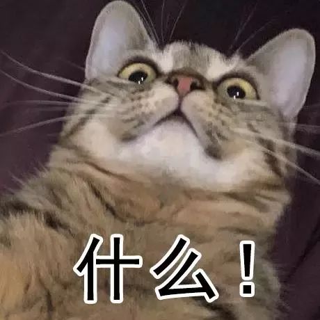 反差母狗真实面目 本产品更注重现实场景应用