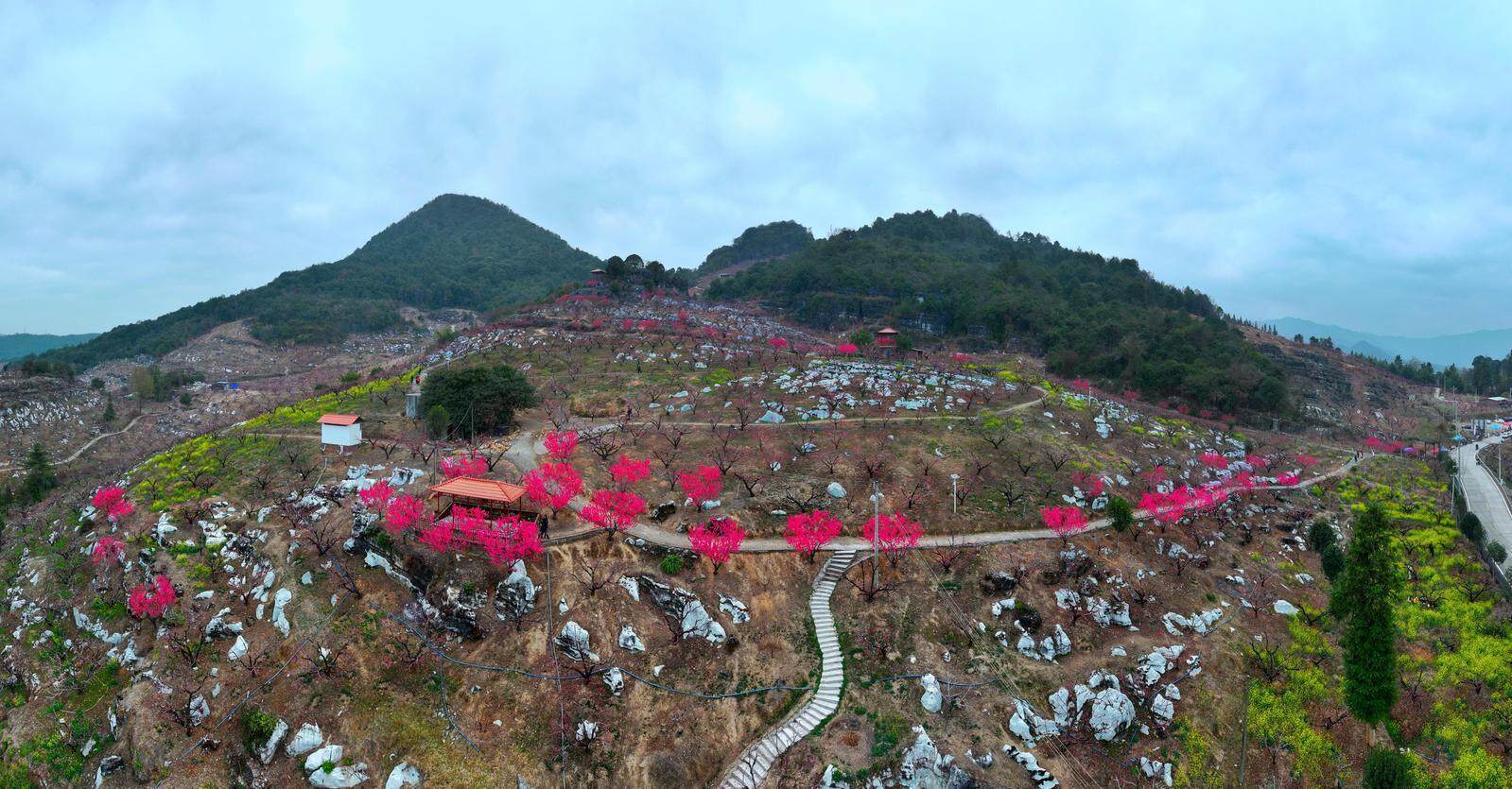 同人同人动漫 是获取实体同人志的主要场所海报