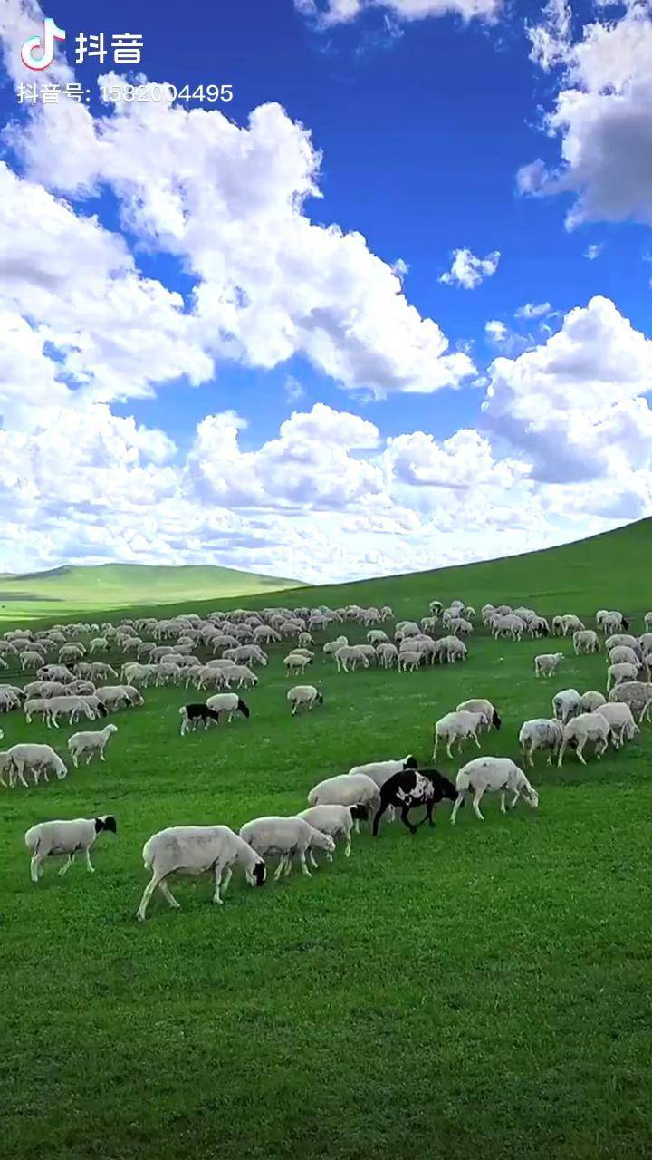 小马拉大车系列小男孩猛烈 我非常乐意为你提供帮助海报