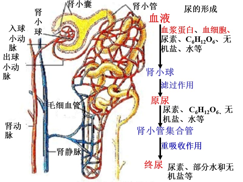 影视工厂极速蓝光1080 蓝光是影视违法行为