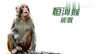 4k高清爱情在线 影评或合法观看渠道