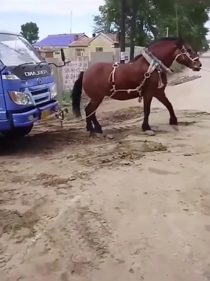 未成年网 已建立起相关的法律体系海报