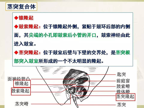 人偶视频 或展示精美的人偶视频成品