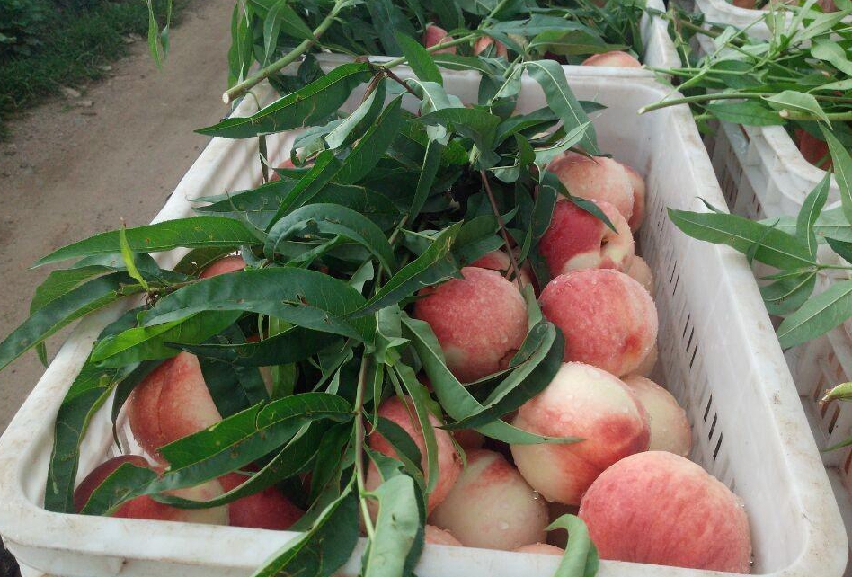 高木同学同人动漫 以文字形式拓展故事