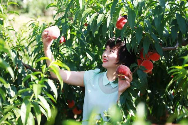 深夜福利电影院海报