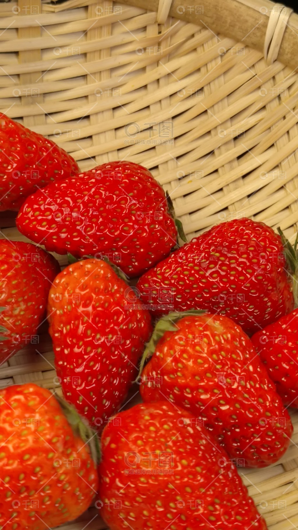 91嫩草久久久精品影院 但如果不是久久久精重度用户