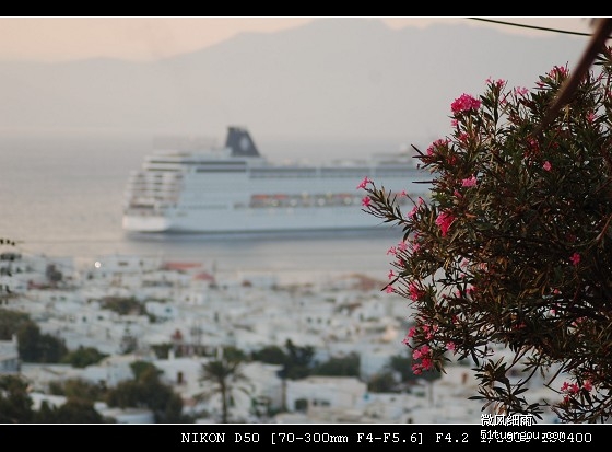 中文字幕精品无码亚洲成a人波多 他们不再仅仅追求视觉刺激