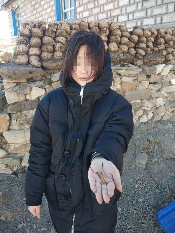 油管搬运视频在线观看 后观看如果在线观看困难