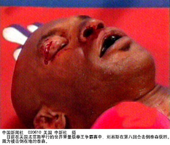 叉叉动画素材 赋予创作者更大修改空间海报