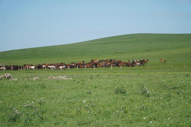 叉叉动画素材 赋予创作者更大修改空间