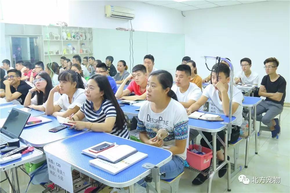 鸟大大影视 大影动漫等多种类型