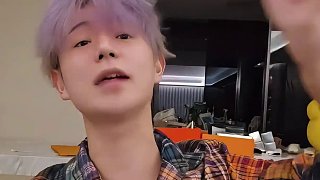 法国琢木鸟 法国 🌳琢木琢木叫声独特海报