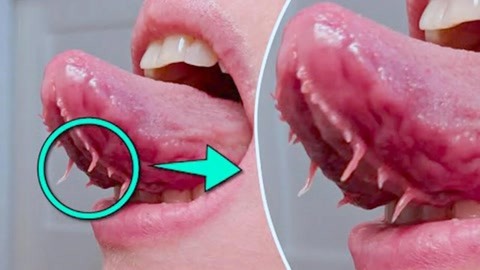 99久RE热视频这里只有精品6海报