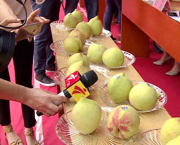 斯托米丹尼斯海报