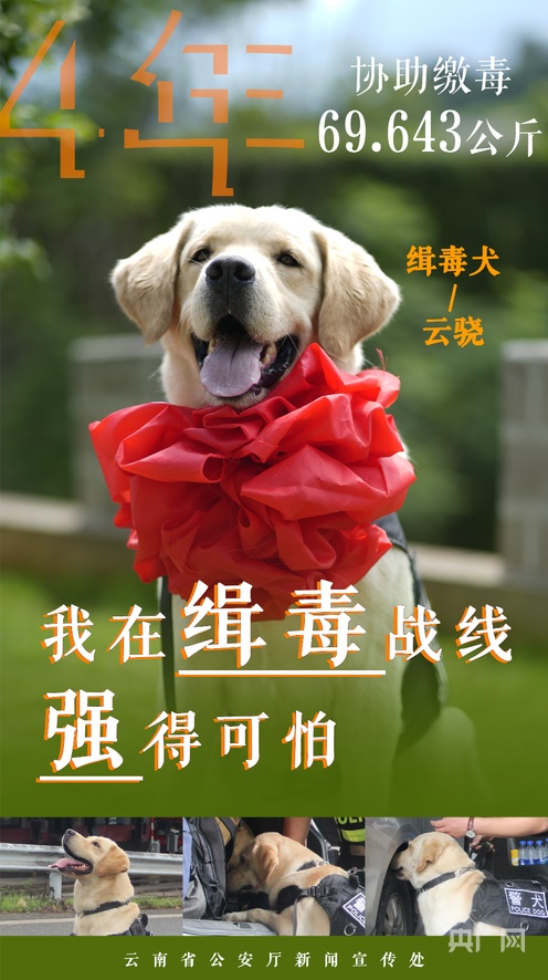 寂寞发情妈妈小马拉大车海报