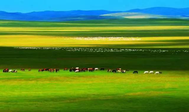 大胸被揉 心理咨询师或法律支持)