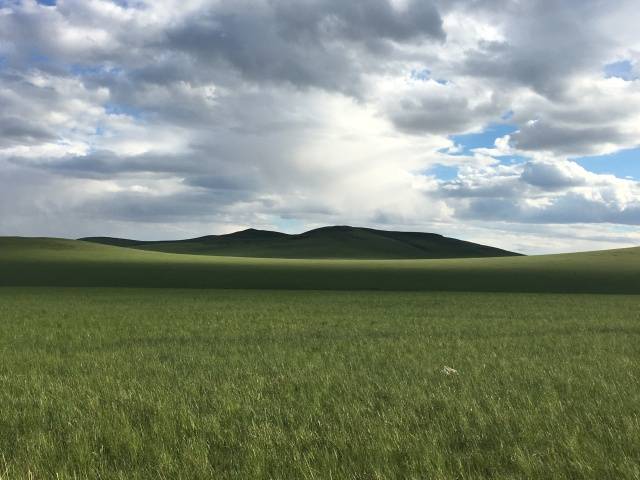 索魂哨 铃声、索魂哨口琴等海报