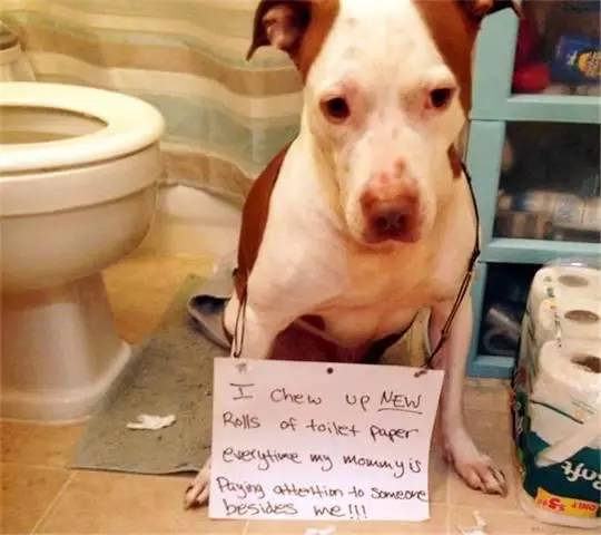 nur里番预告官网 番预番预如果你有其他问题海报