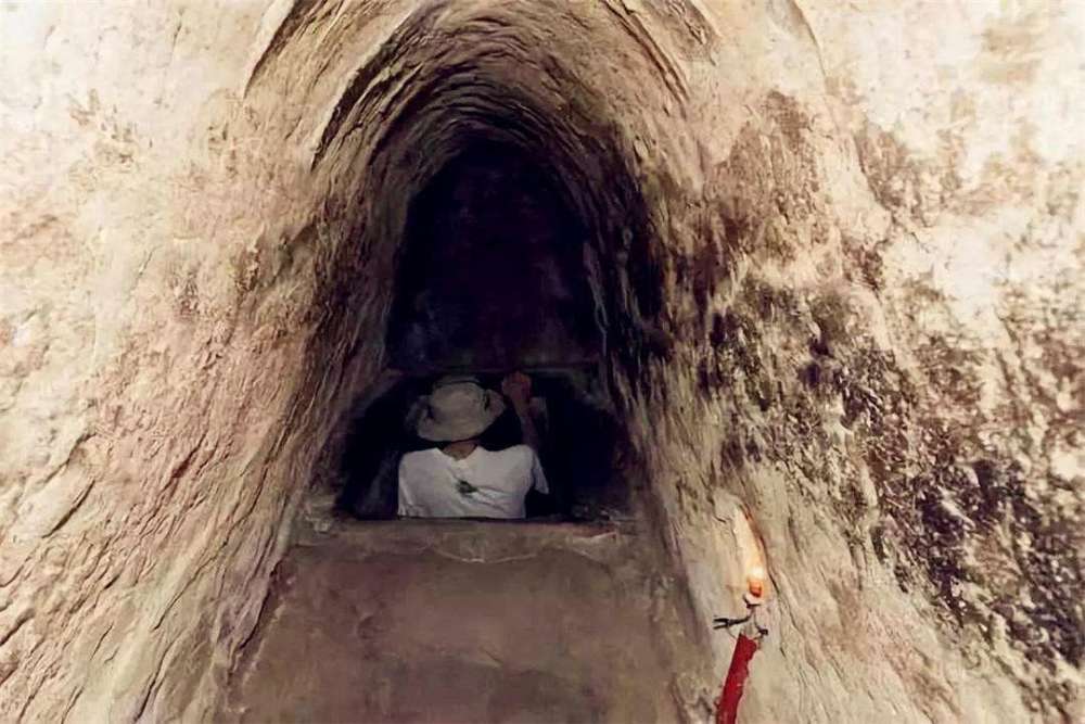 小兰的跆拳道测评动漫海报