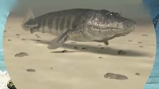 4k视频里番 频里频里频里对不起