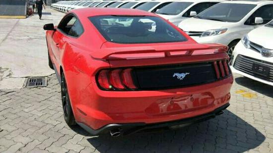 gay 男同 片 影院海报