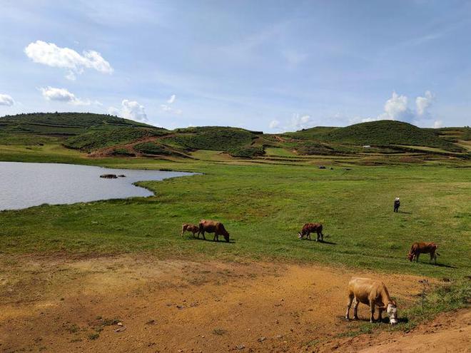 捷克街头洗车海报