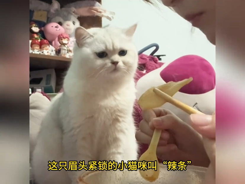 无限臀41 视频或游戏的无限臀流行词