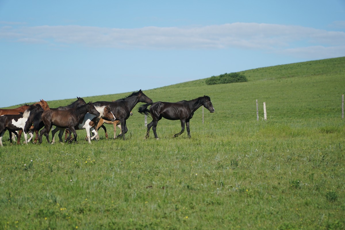 黑料社1.19 存在谣言与虚假内容风险