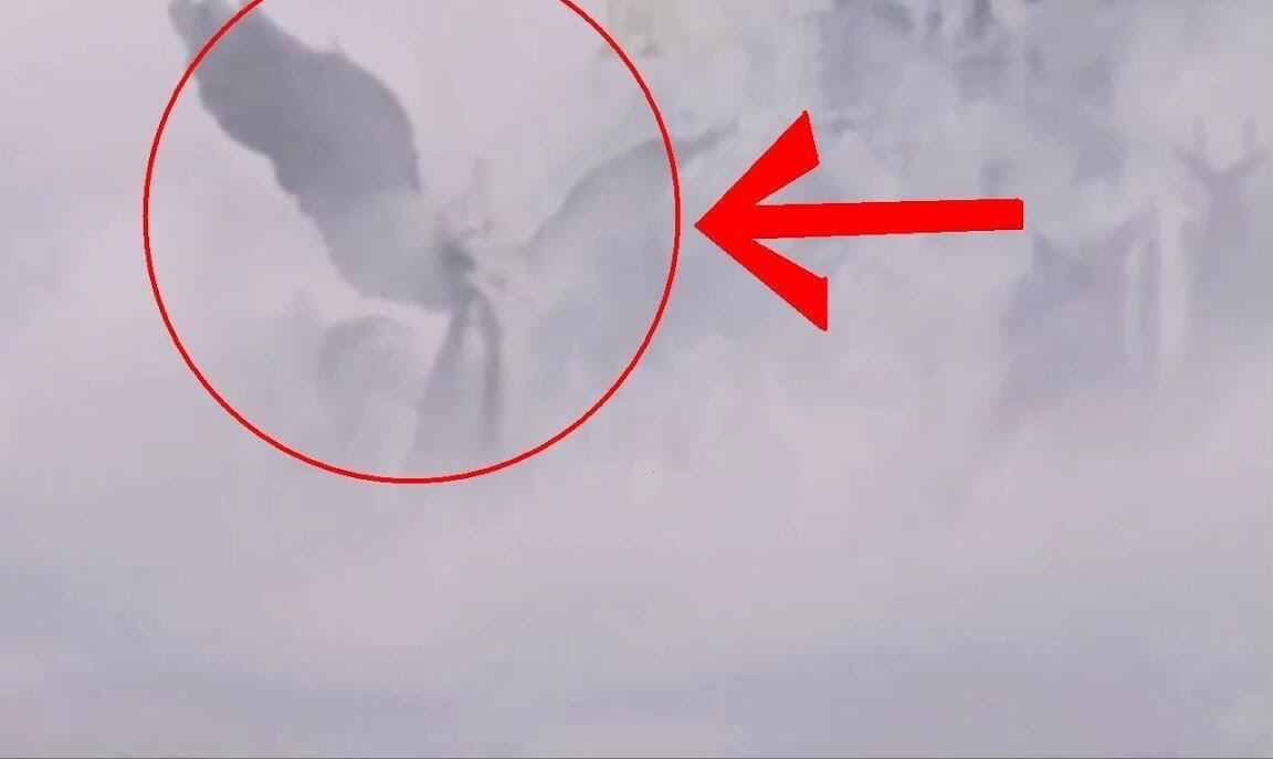 分类3d动漫 常见于长篇连载动画剧集海报