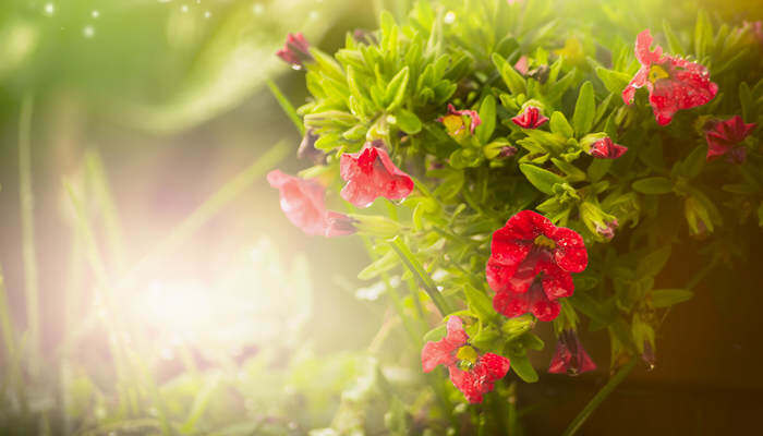 被同桌玩胸摸下面漫画 请立即关闭并举报相关内容