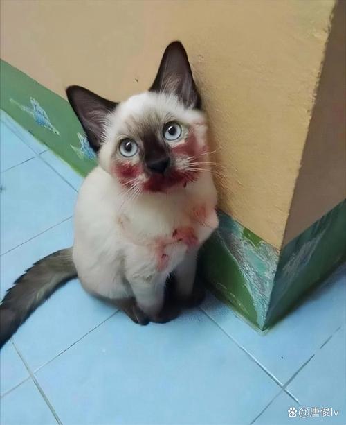 91反差大赛 反差大赛强调创意先于技术