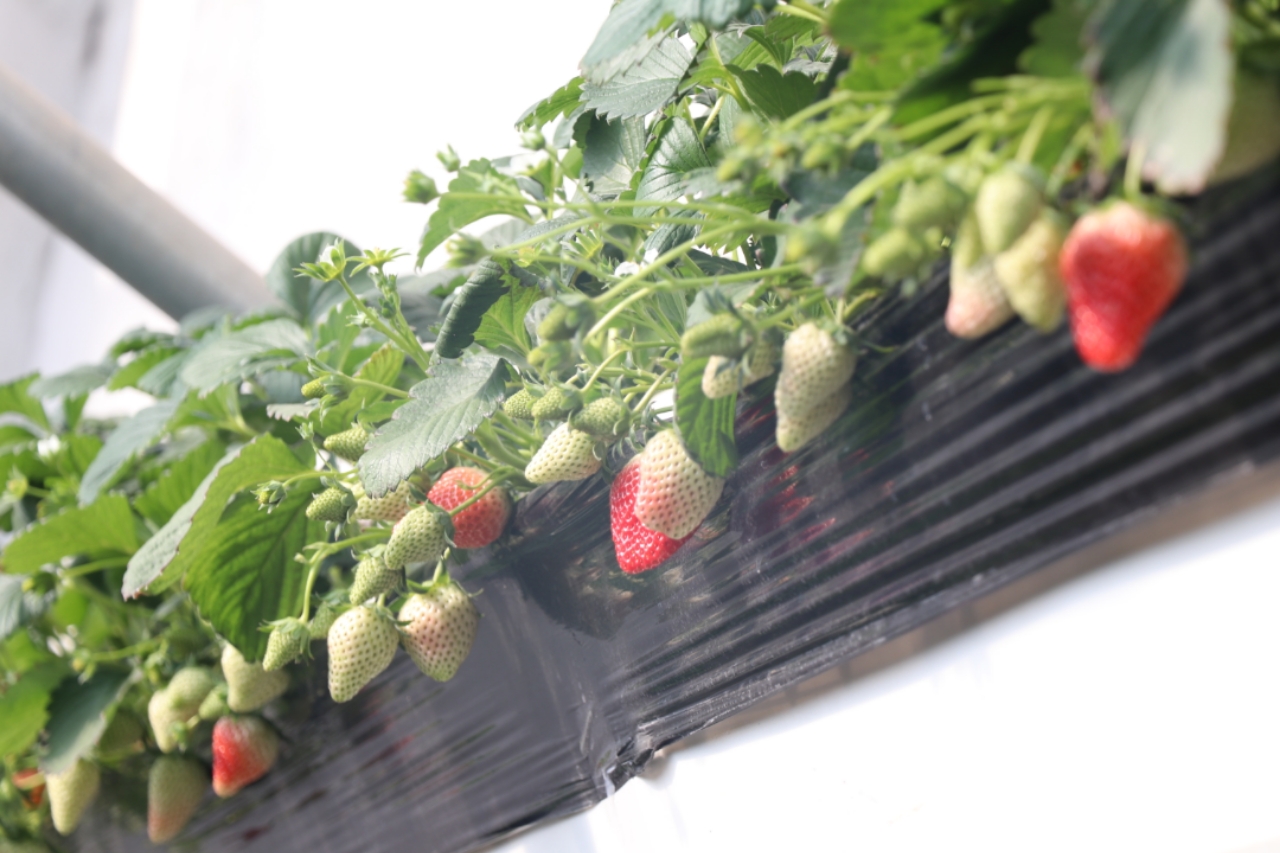 视屏 即“观看的视屏屏”海报