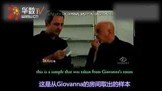 足球啄木鸟海报