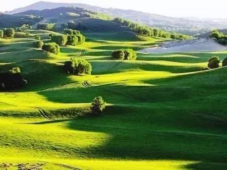 困困狗在哪个平台 平台希望这个回答能帮到您