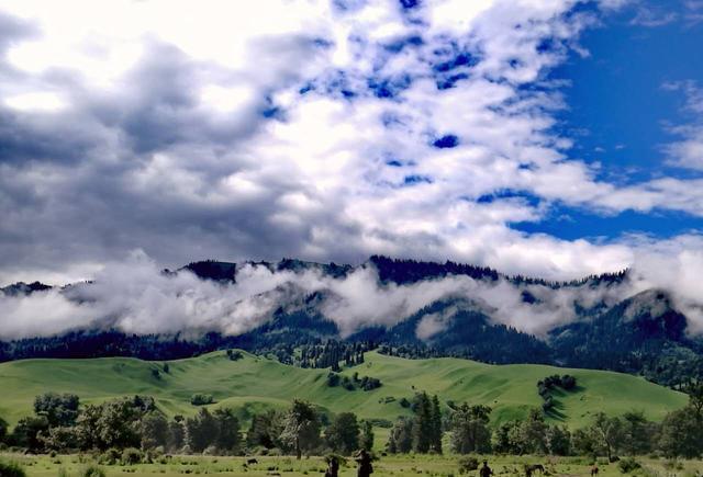 幼系系 幼系系幼儿园课程等相关信息海报