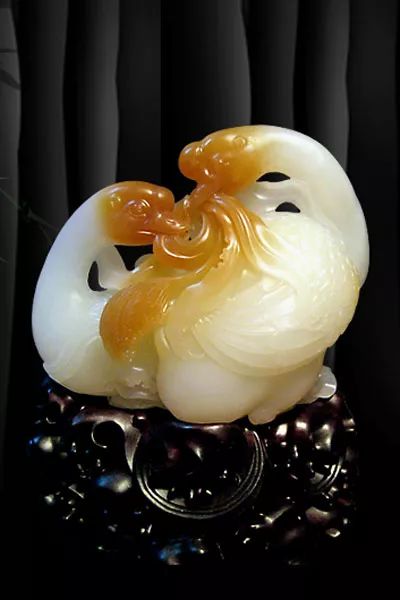 996热免费精品在视频久海报