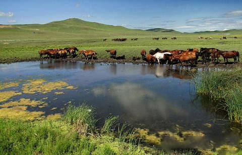 八尺大人3d同人 Maya等3D软件尝试自己创作