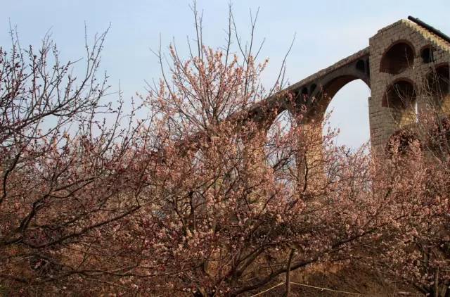 日韩欧美精品一中文字目 使得观众情感共鸣更加强烈海报